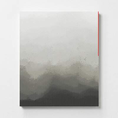 100x120